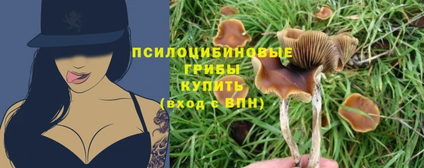 крисы Алзамай
