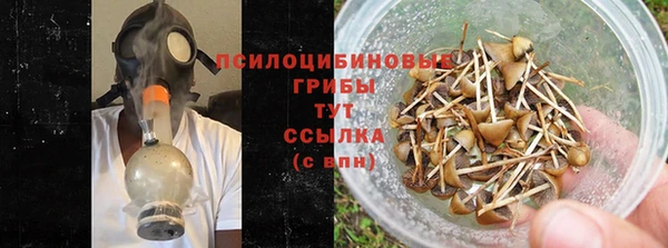 крисы Абдулино